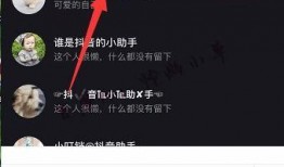 抖音如何爆料小助手呢视频,轻松掌握爆料技巧