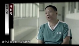 我为出嫁狂01在线观看,01在线观看，揭秘现代女性婚恋观